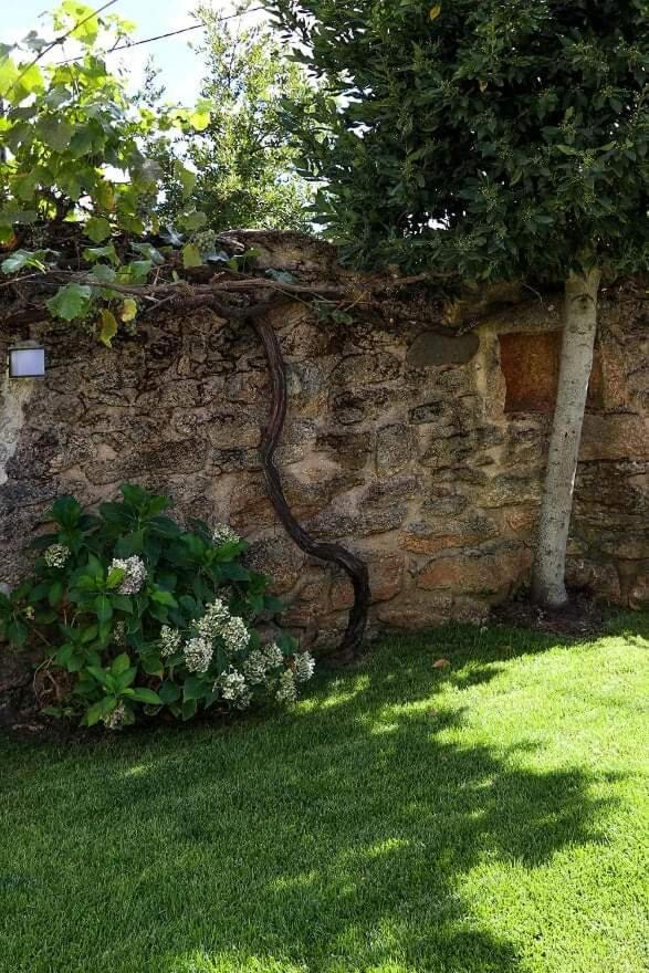 Casas Do Torreao 3 Casas De Alojamento Local Alfaiates Екстериор снимка